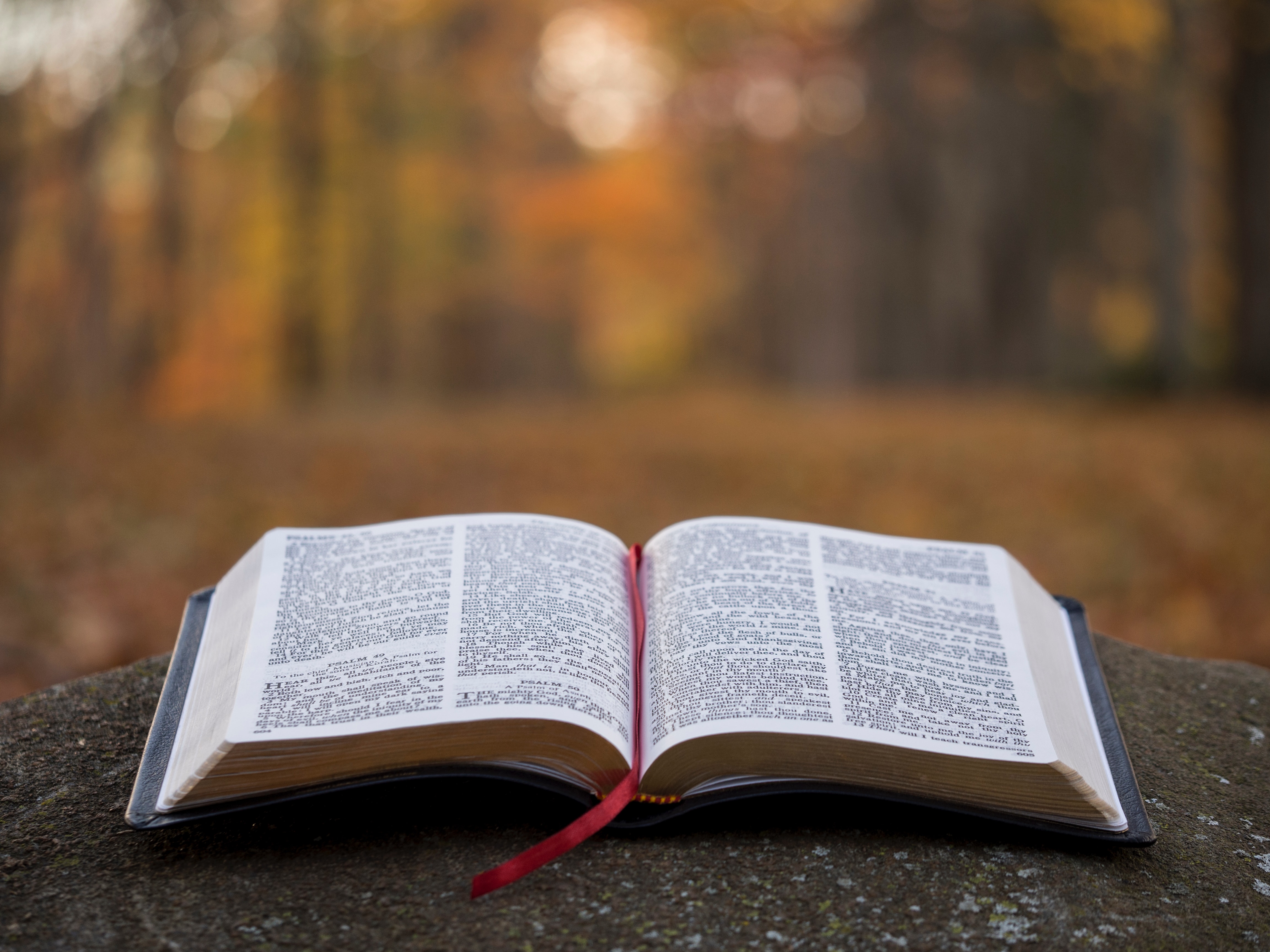 unsplash-photo-9zshnt5opqe_2019-10-07-22-05-02.jpg